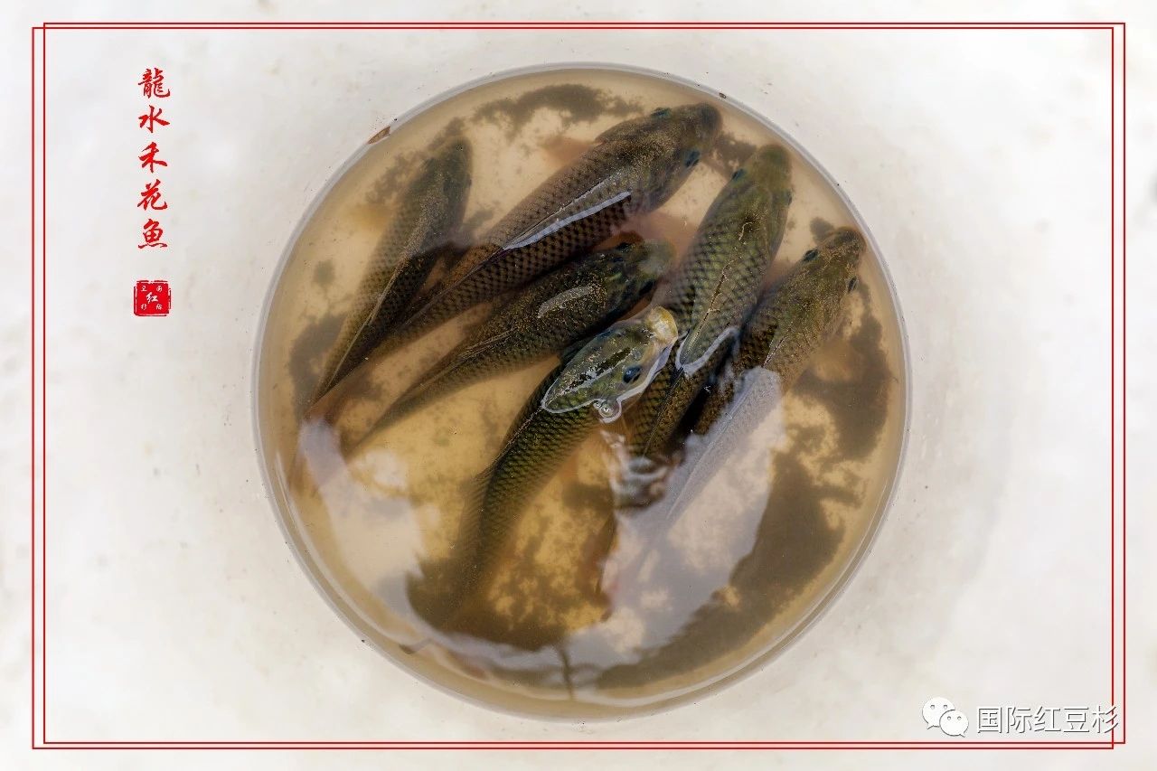 全州龙水航拍,全州龙水