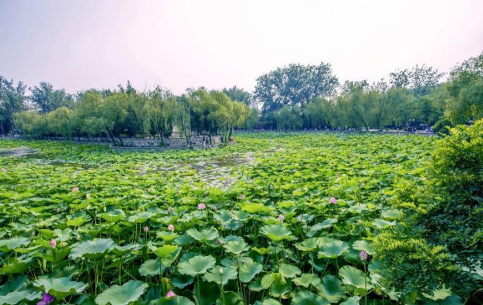 天津免费景点,天津必游的免费景点排名前十