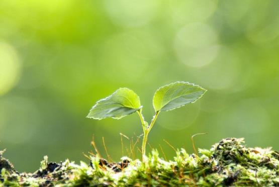 人到四十有存款是你做人的底气,人到40有多少存款才算及格