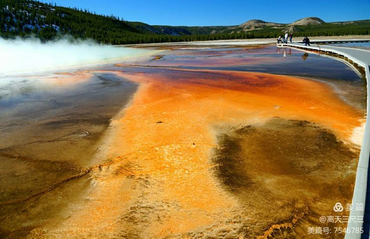 鍖楃編鏋儏闃虫柊,鍖楃編鏋儏鍥剧墖