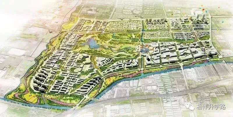 最顶尖新校来了!复旦、交大附属校落子闵行,集齐超一流小初高