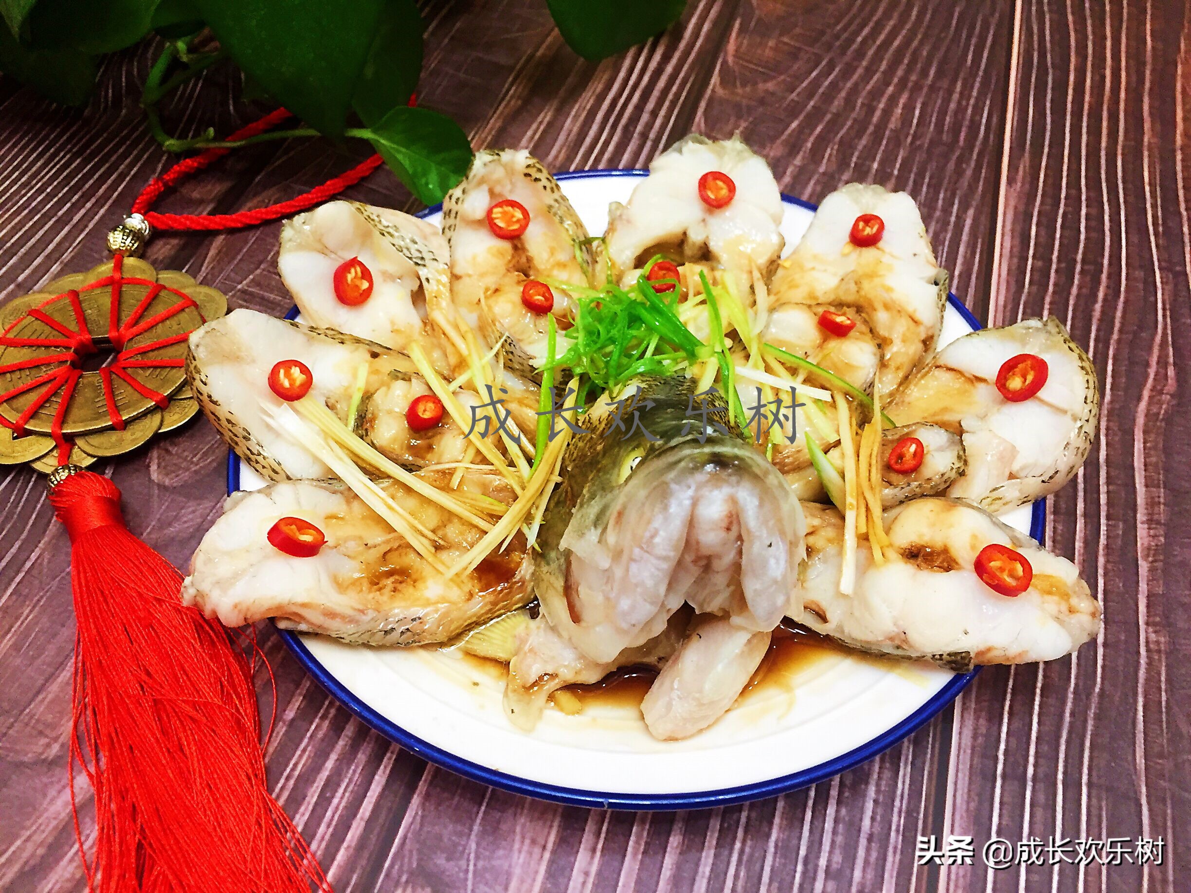 年夜饭必备的家常菜10道鱼的做法,怎样做鱼才好吃年夜饭