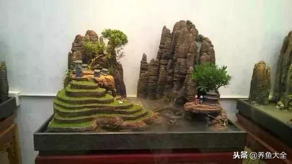 上水石盆景摆放位置,上水石假山盆景怎么养