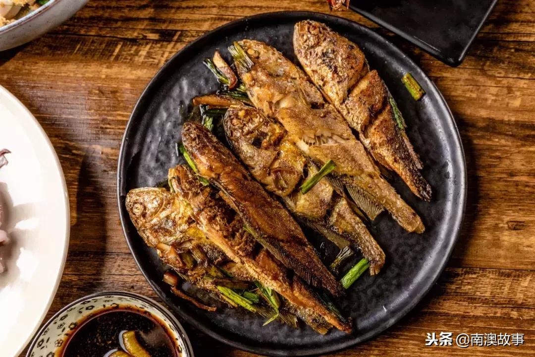 南澳岛渔民捕捞视频,南澳岛渔船捕捞