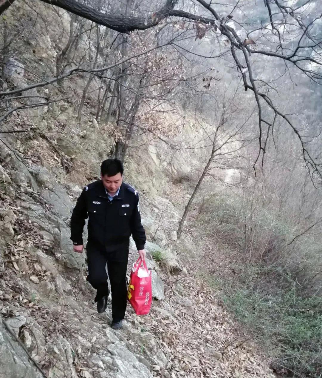 深山看猴记,深山看茶叶视频