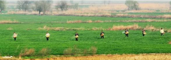 无土栽培技术视频免费,蔬菜无土栽培技术视频