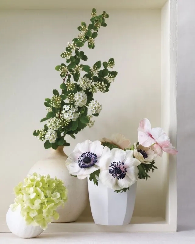 植库‖浪漫清新的小手球,为你带来氧气小森林