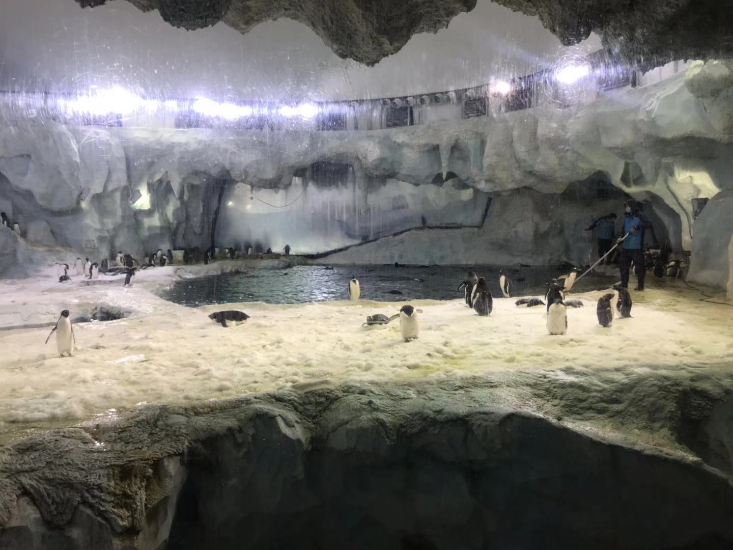 珠海长隆海洋王国亲子攻略2岁,亲子珠海长隆海洋王国一日游攻略