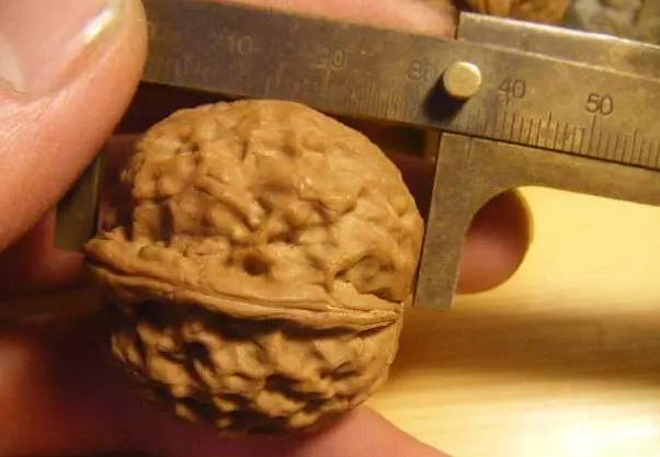 怎么挑核桃才是好的,挑选核桃的几个小诀窍