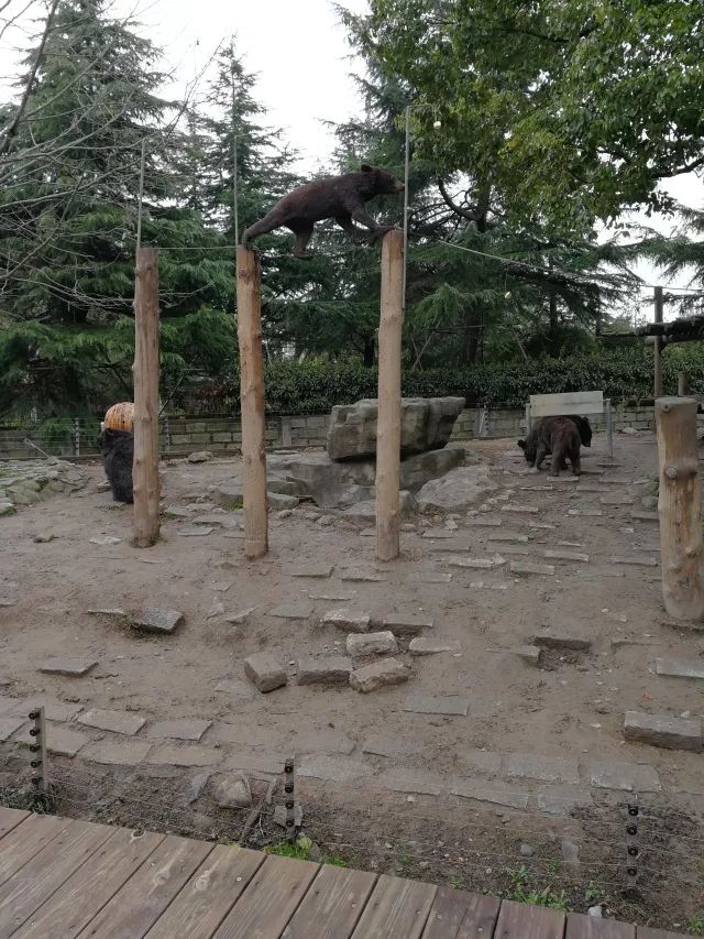 在上海迪士尼怎么玩比较快呢,在上海迪士尼玩一整天