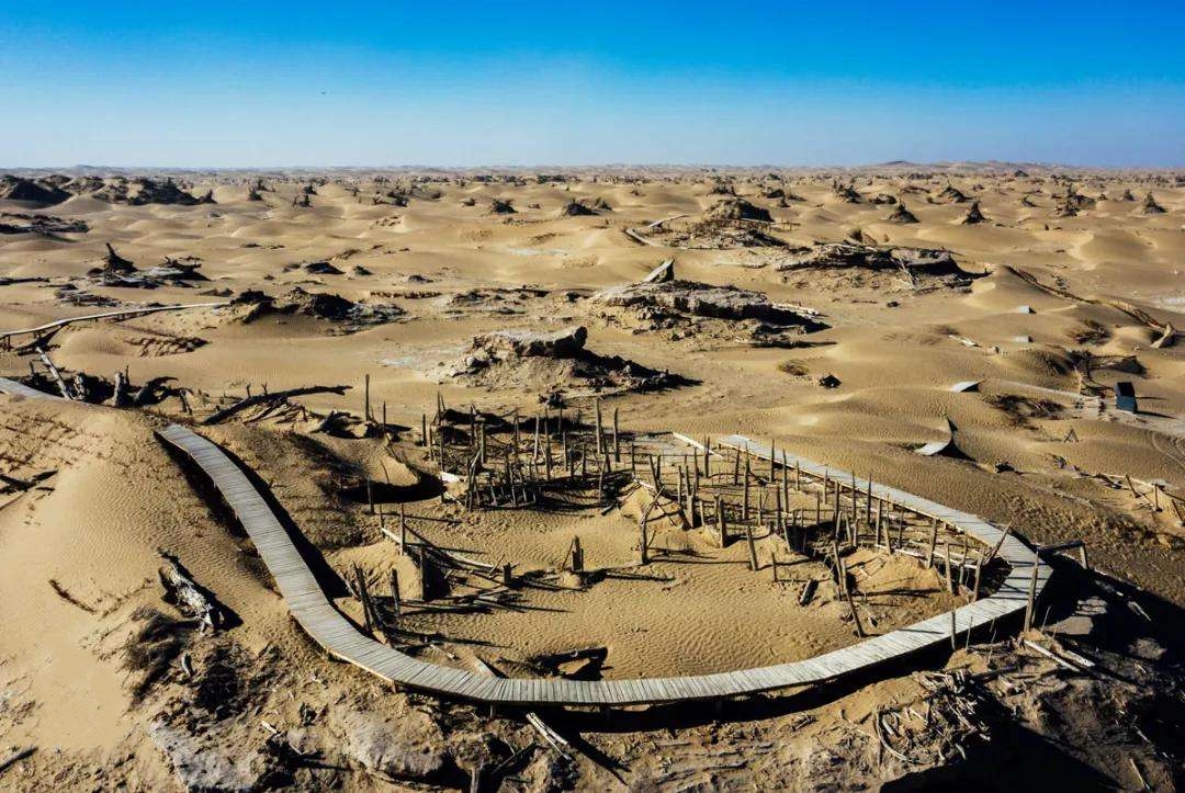 新疆尼雅遗址推广视频,探秘尼雅遗址精绝古城