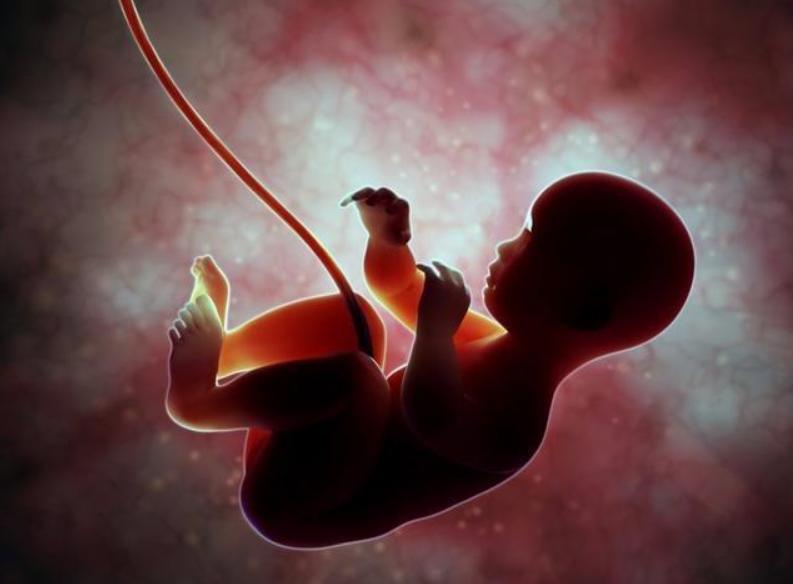 孕肚一跳一跳的是什么原因,孕肚一阵阵动是什么情况