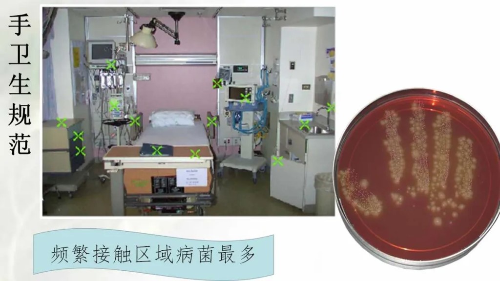 课件-陪护人员医院感染知识培训