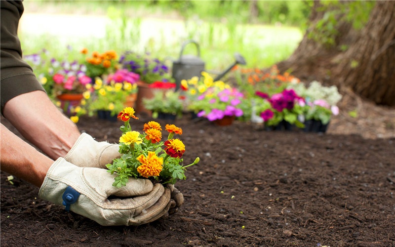 60岁左右能做什么低成本小生意,50多岁现在做什么小生意最挣钱