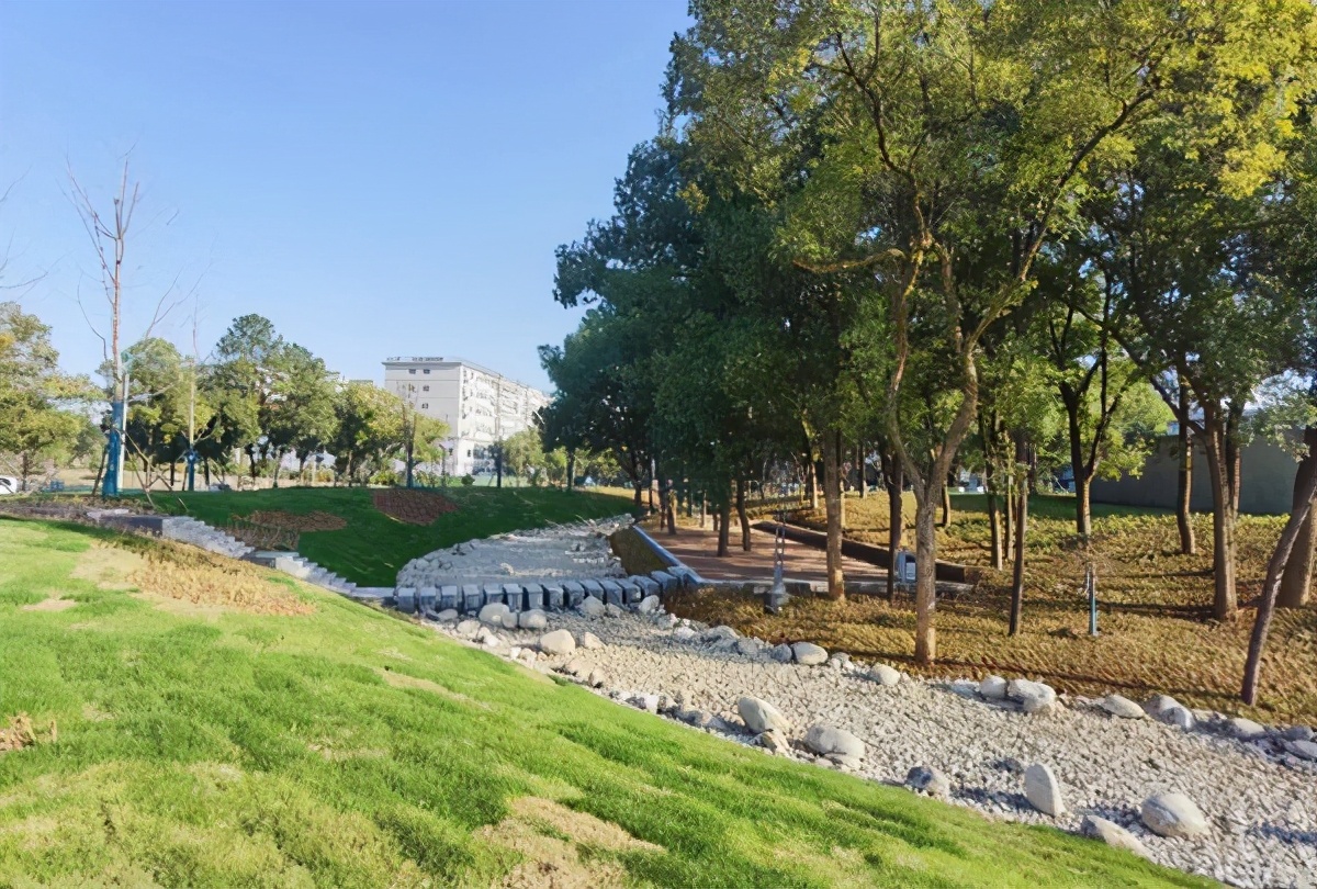 湖北高校风景,湖北风景最美的大学