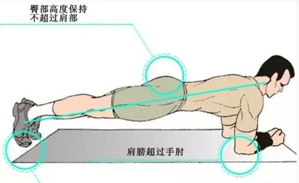 wildfieldhealth多喝水真的好吗,wildfieldhealth蛋白粉冰柠茶