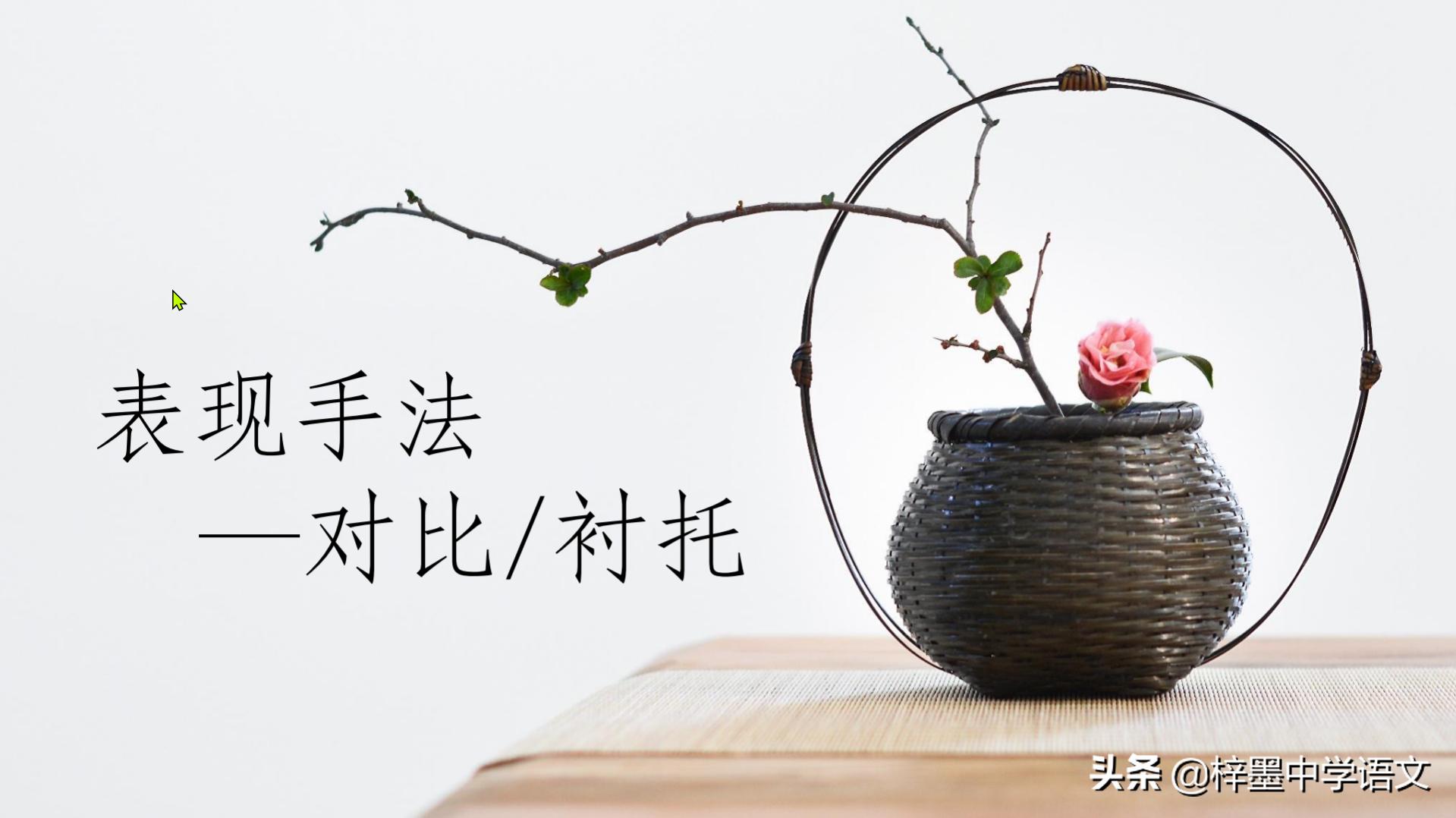 阅读理解修辞手法和表达技巧,阅读理解修辞赏析技巧