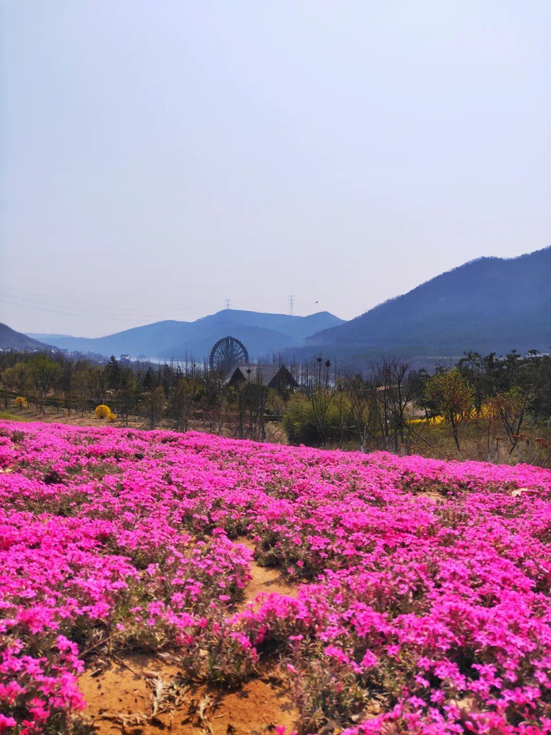 西郊山林休闲养生度假公园,休闲好去处西郊森林公园