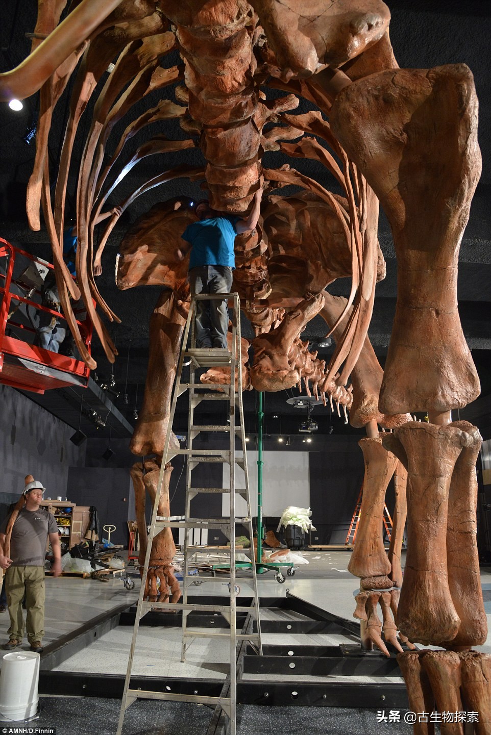 泰坦龙是最大的恐龙吗,世界上最高的恐龙是泰坦巨龙吗