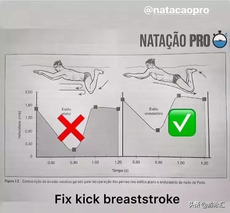 蛙泳技巧口诀表,蛙泳怎么练好很快就掌握技巧