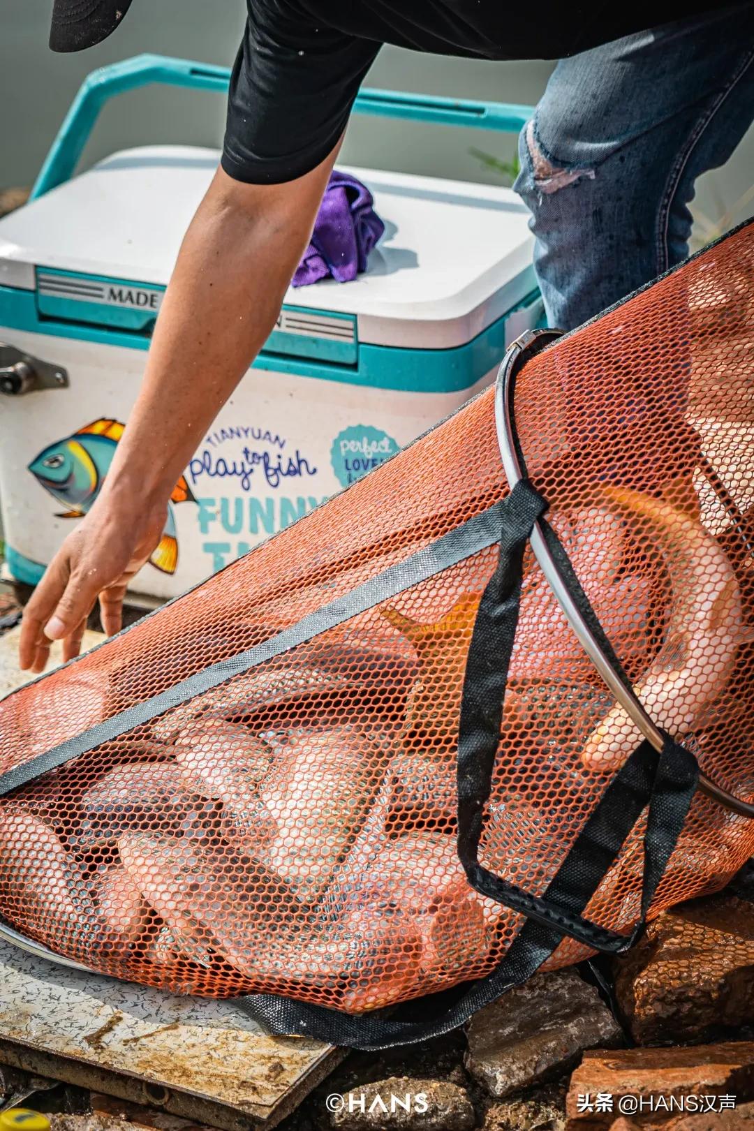 天元邓刚在湖北枣阳钓鱼的视频,天元邓刚钓鱼最新视频现场