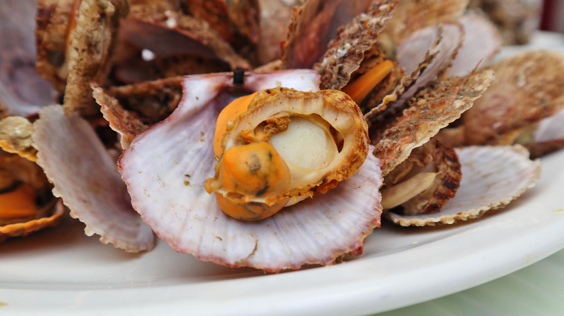济南周边2-3天短途海边旅游,日照济南一日游