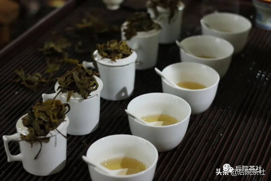 易武普洱茶最好的一款,易武回甘特别好的一款茶