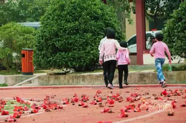 普宁三都中学怎么样,普宁都有哪些学校