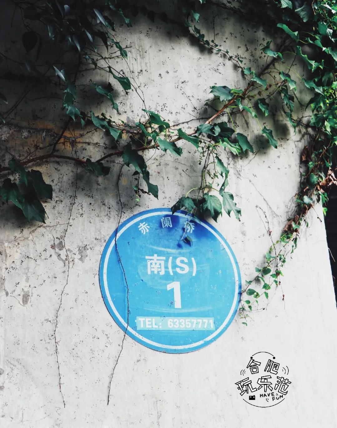 观银河,看银河听风吟的视频