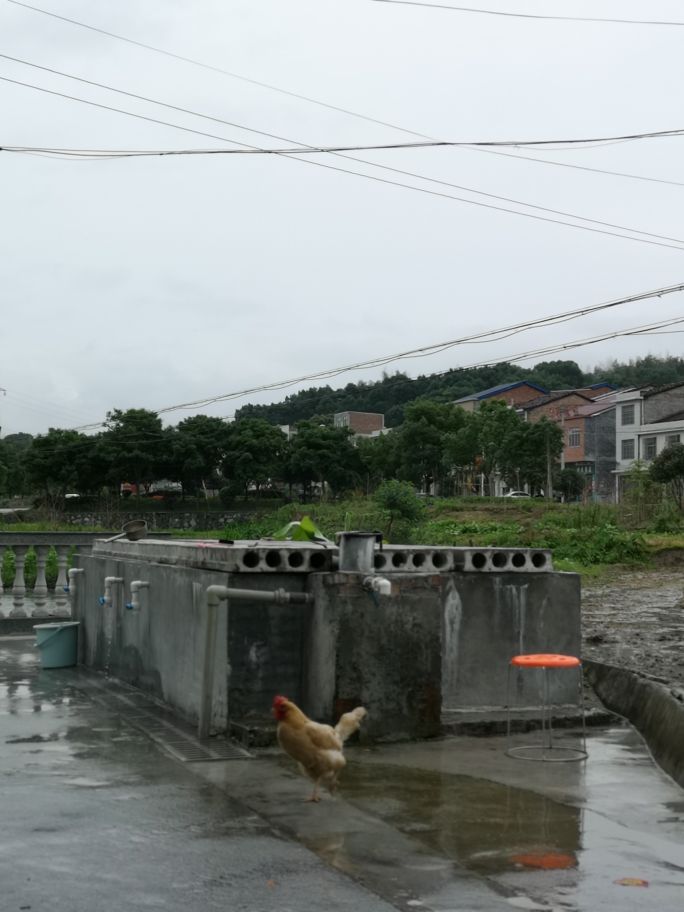 南江县富硒温泉,南江布依族苗族温泉