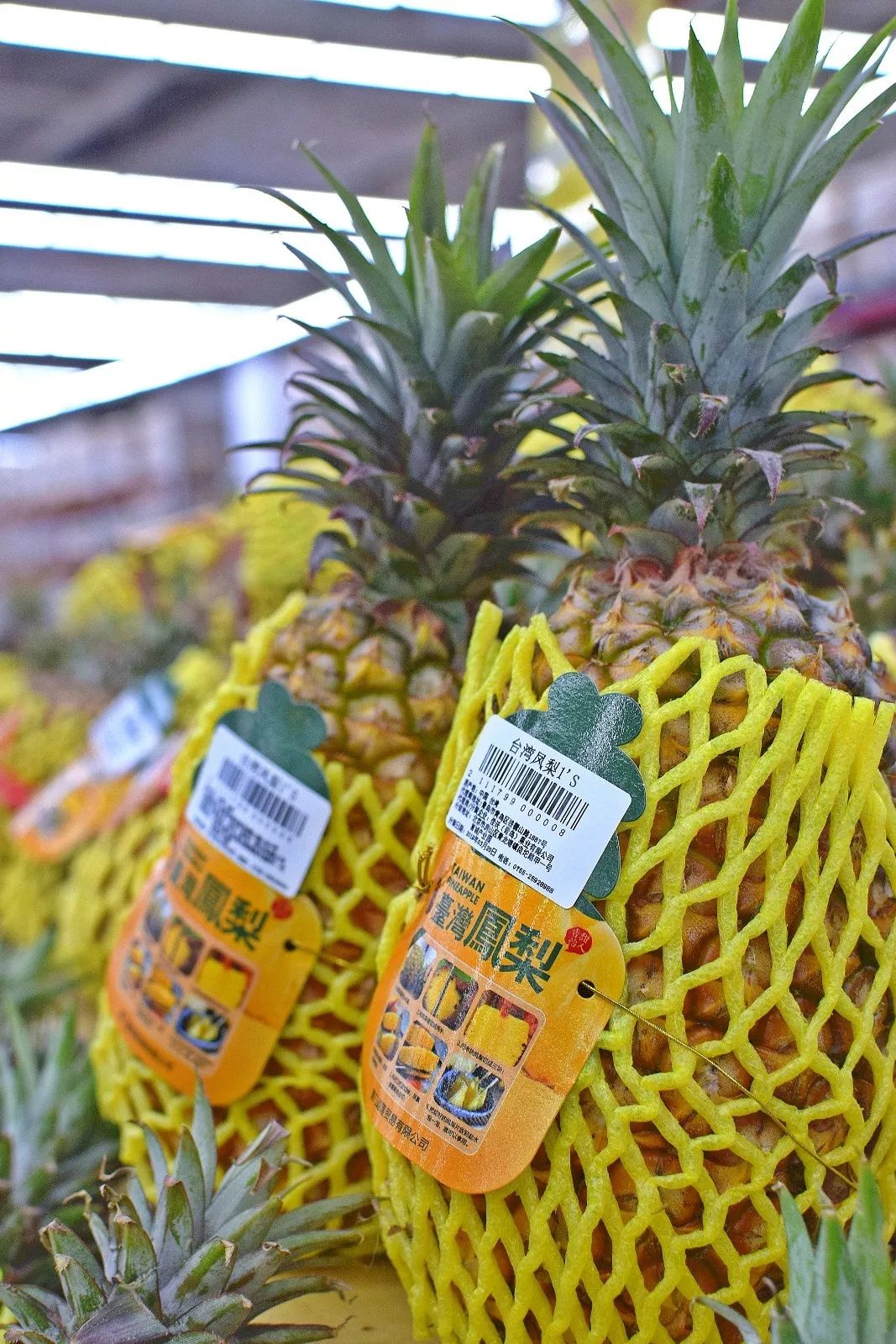 山姆新店活动码,山姆会员店宝藏单品