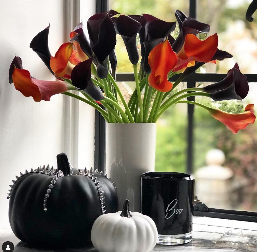 国产马蹄莲盆栽夏天怎么养护,马蹄莲花期施什么肥好养护它呢