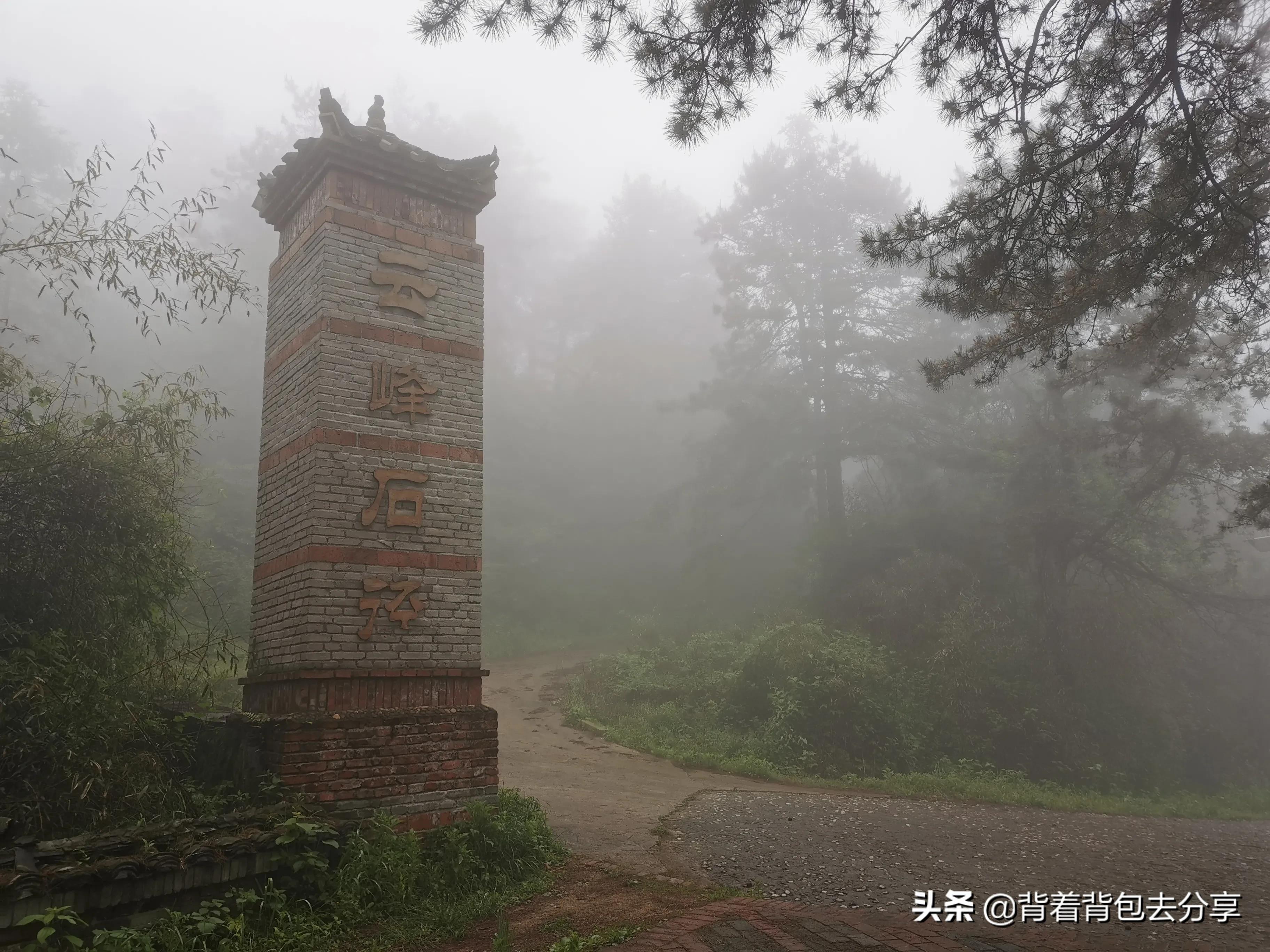 麻城看杜鹃花攻略,去麻城看杜鹃攻略