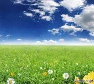 倾情托起未来的蓝天——启迪心智幼儿园的一节课