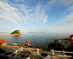 辽宁省长海县海参,长海县獐子野生海参