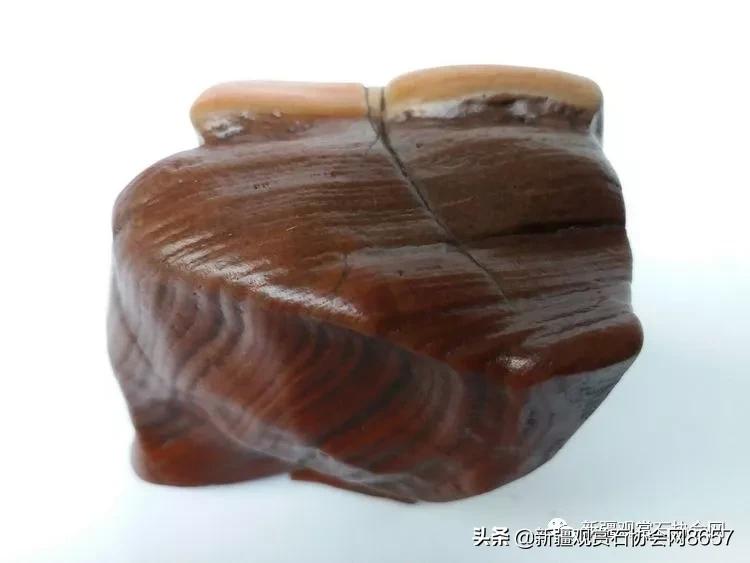 鎴堝鑰佺毊,鎴堝鑰佺毊鍜屾按鏅剁毊