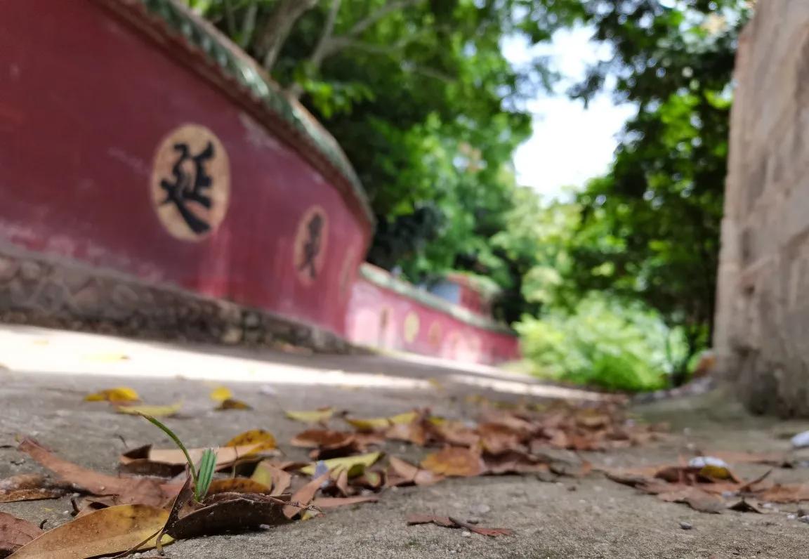 禅悟开悟小故事,禅门小故事大全集