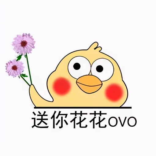 圣诞植物大全,圣诞节植物