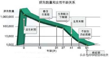 一胎健康为什么二胎会出现胎停呢,一胎正常二胎胎停育要查染色体吗