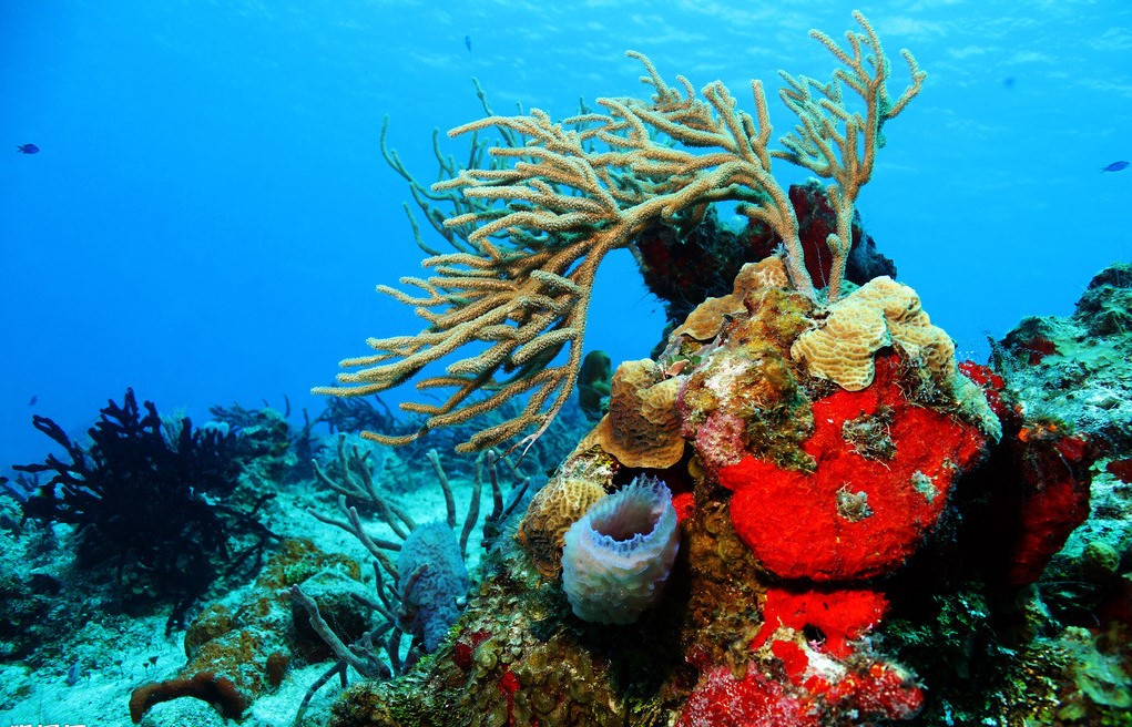 一本书读懂色彩心理学,色彩心理学怎么学