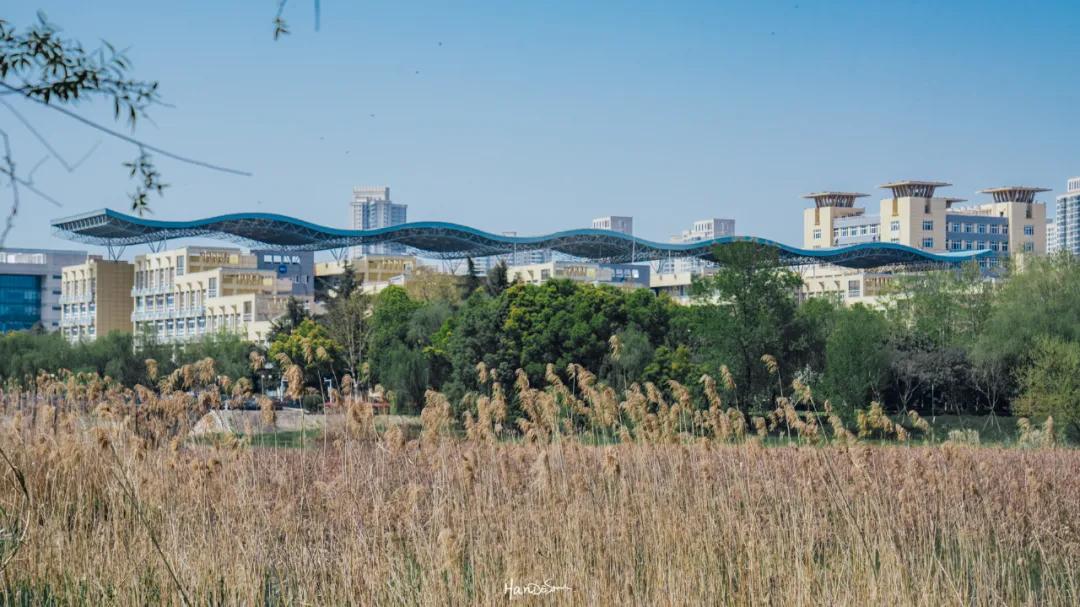 为什么江汉大学这么吸引武汉人？