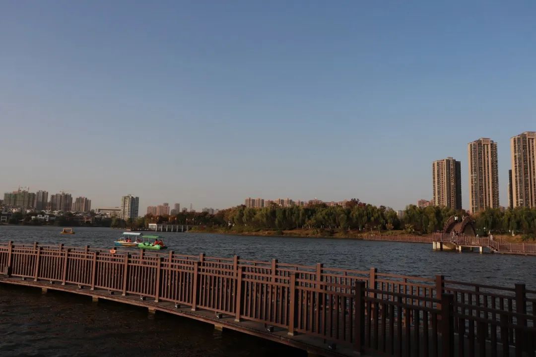 头痛短视频脚本如何创作？大V背后的5个方*论法**。