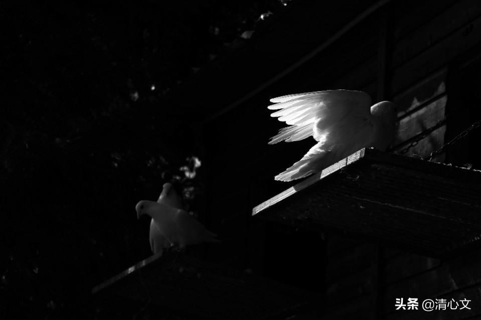 找不到门路的成语,找不到门路干什么