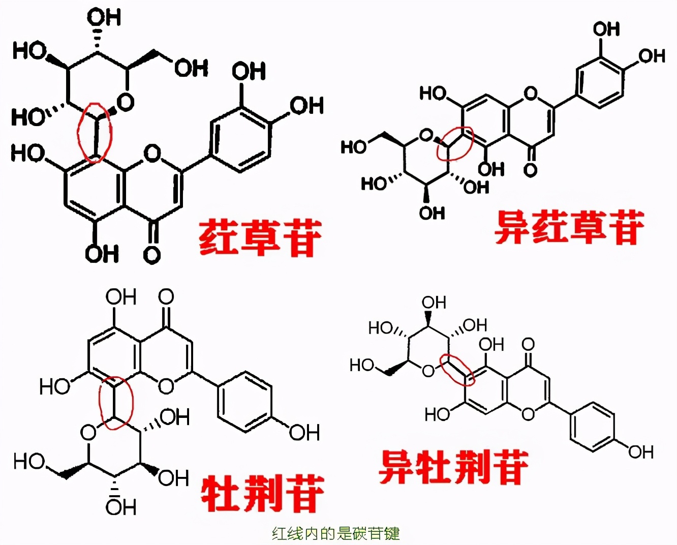 服用竹叶黄酮后尿液绿色,国珍竹叶黄酮有什么作用