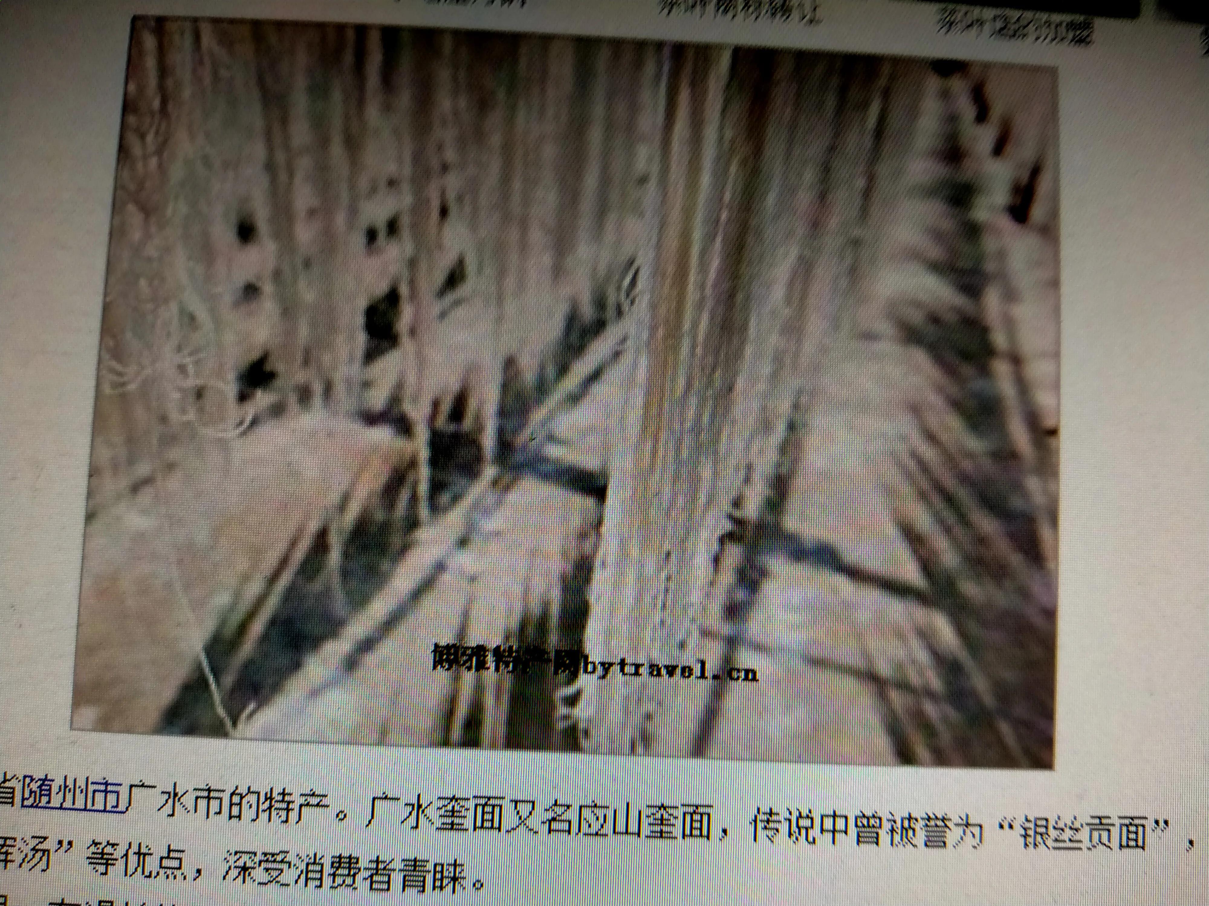 欢迎回到湖北随州文案,欢迎回到湖北随州