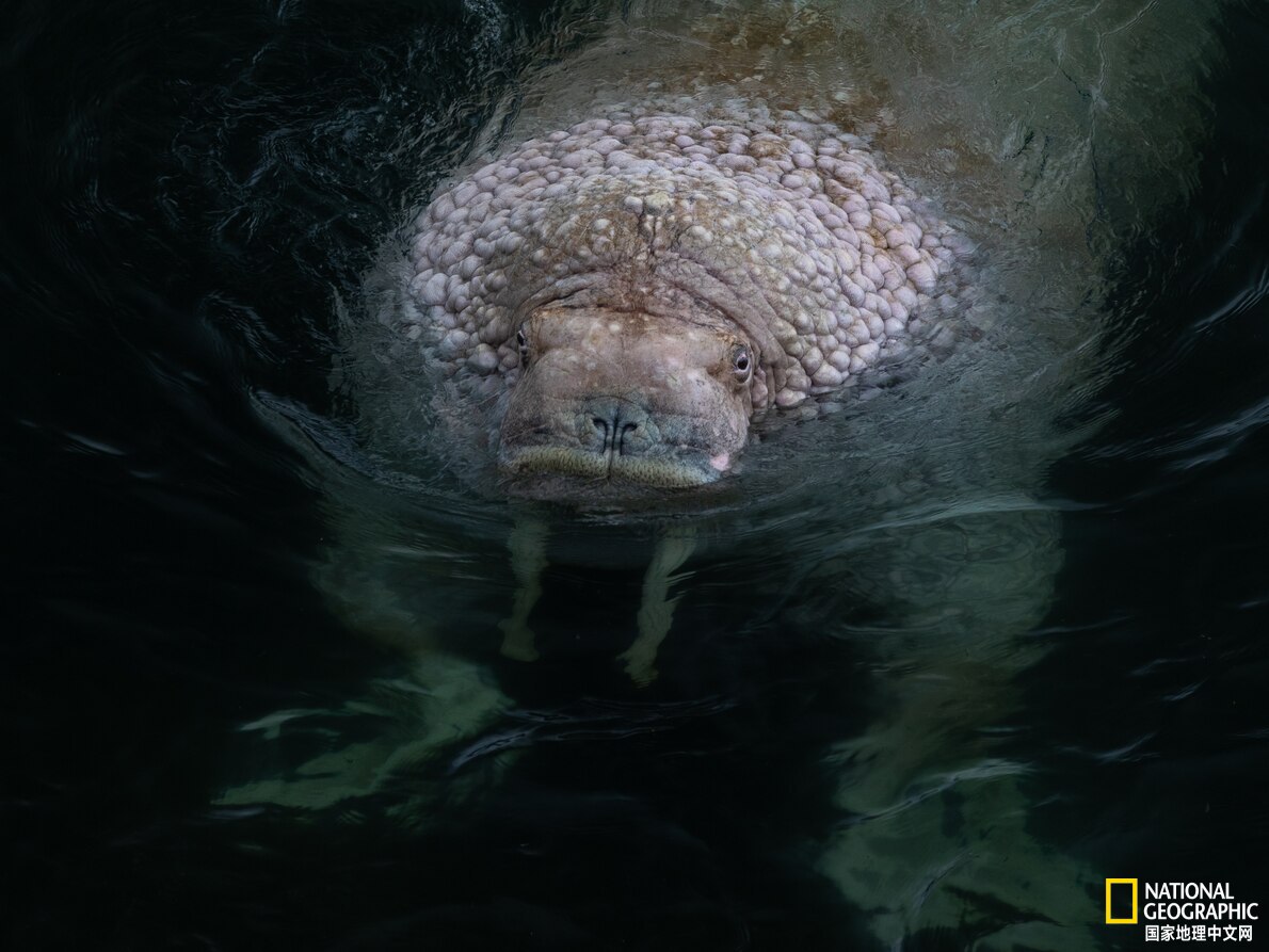 阿拉斯加听海,在阿拉斯加海湾听海