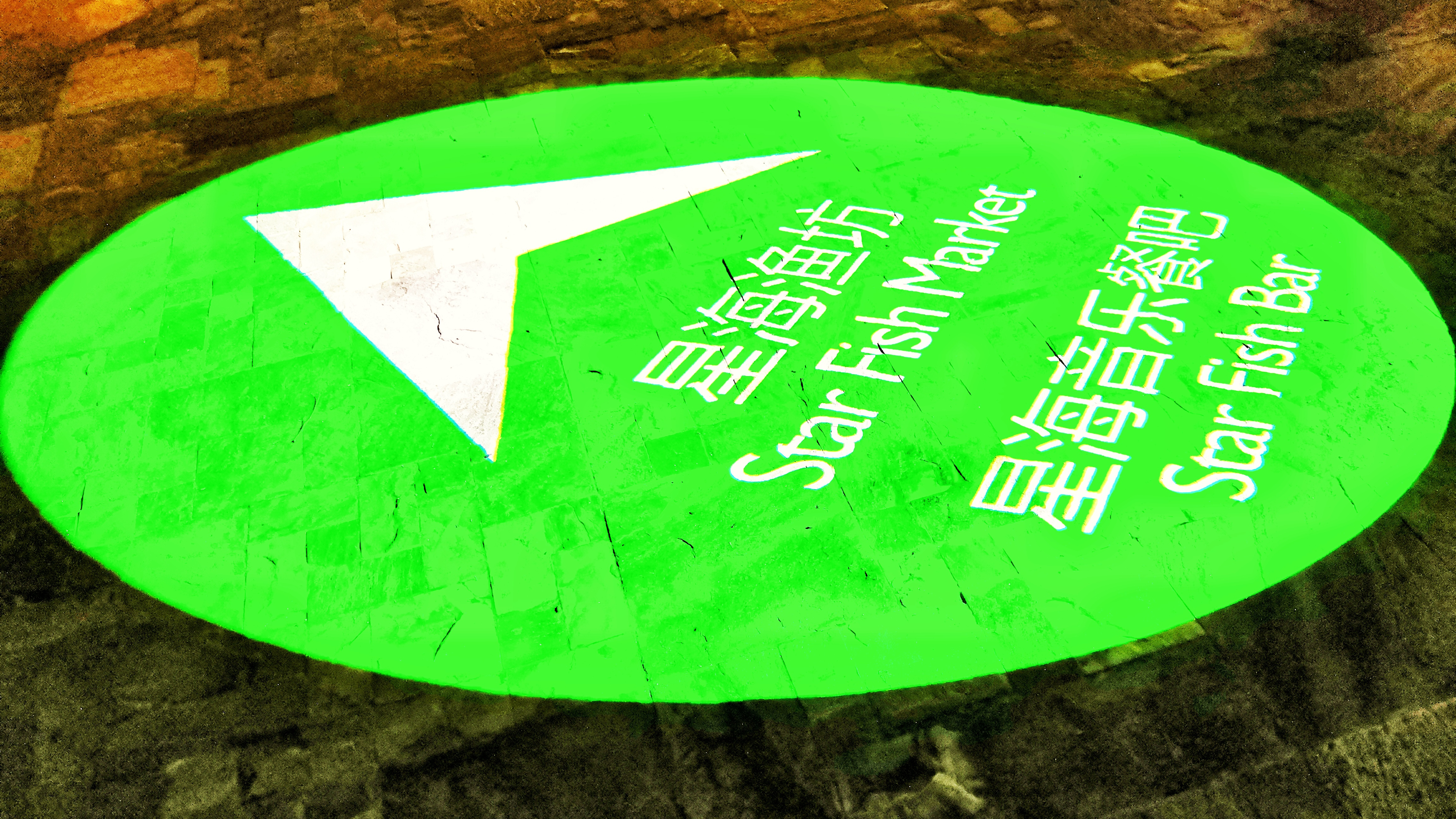 都是网红惹的祸,都是网红惹的祸完整版