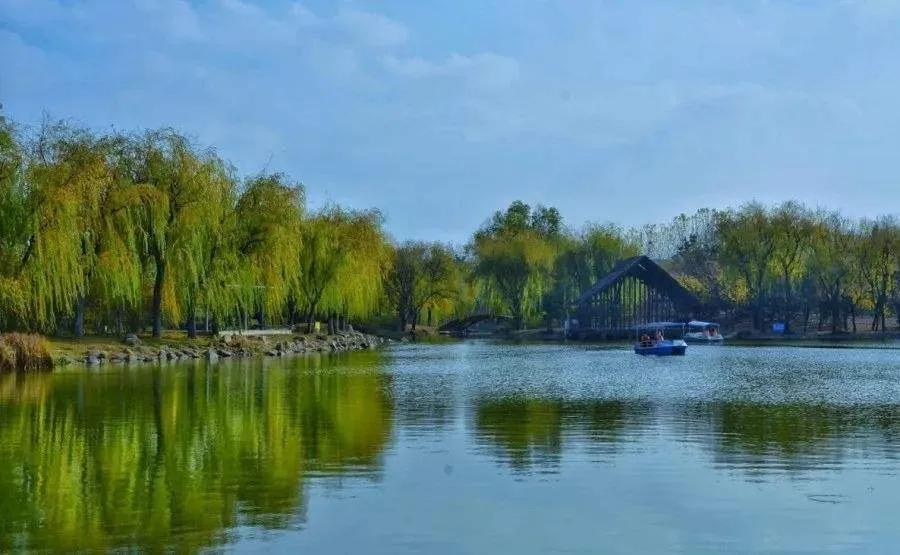 青岛最适宜旅游的景点有几个,青岛过年免费旅游景点