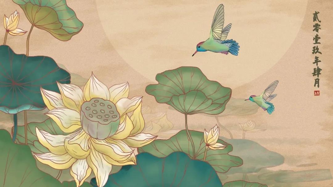 关于荷花的好词好句诗,收集描写赞美荷花的名言佳句