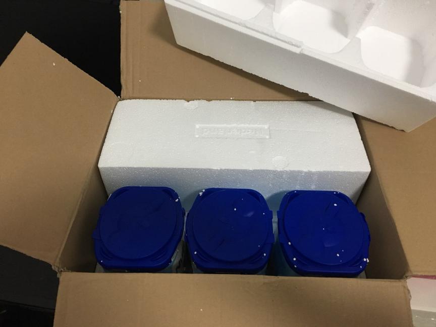 荷兰牛栏哪款奶粉接近母乳,荷兰牛栏奶粉属于什么档次品牌